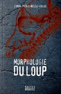Morphologie du loup